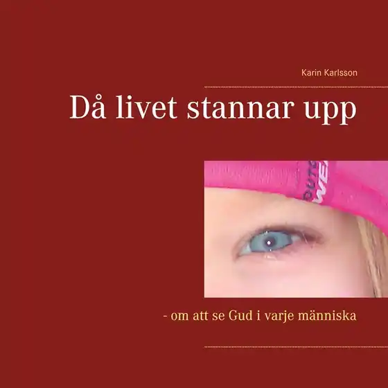 Då livet stannar upp: - om att se Gud i varje människa (e-bok) av Karin Karlsson