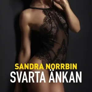 Svarta änkan (e-bok) av Sandra Norrbin - Begagnad bok