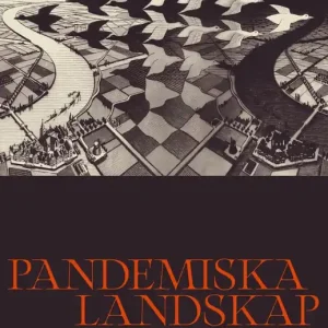 Pandemiska landskap: Smittor i städernas spår (e-bok) av Martin Holmberg