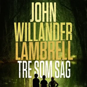 Tre som såg (e-bok) av John Willander Lambrell
