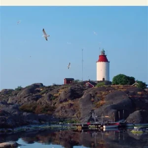 Dödligt bedrägeri (e-bok) av Anders B.O. Jonsson