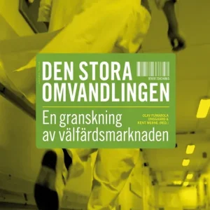 Den stora omvandlingen. En granskning av välfärdsmarknaden (e-bok) av Kent Werne