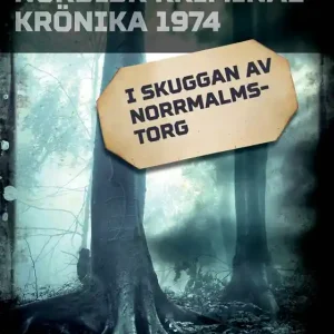 I skuggan av Norrmalmstorg (e-bok) av Diverse
