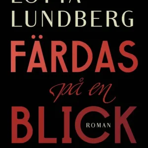 Färdas på en blick (e-bok) av Lotta Lundberg
