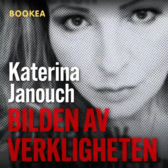 risnedsättning Bilden av verkligheten (ljudbok) av Katerina Janouch