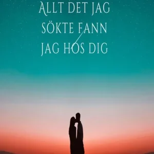 Allt det jag sökte fann jag hos dig (e-bok) av Susanna Roxfelt