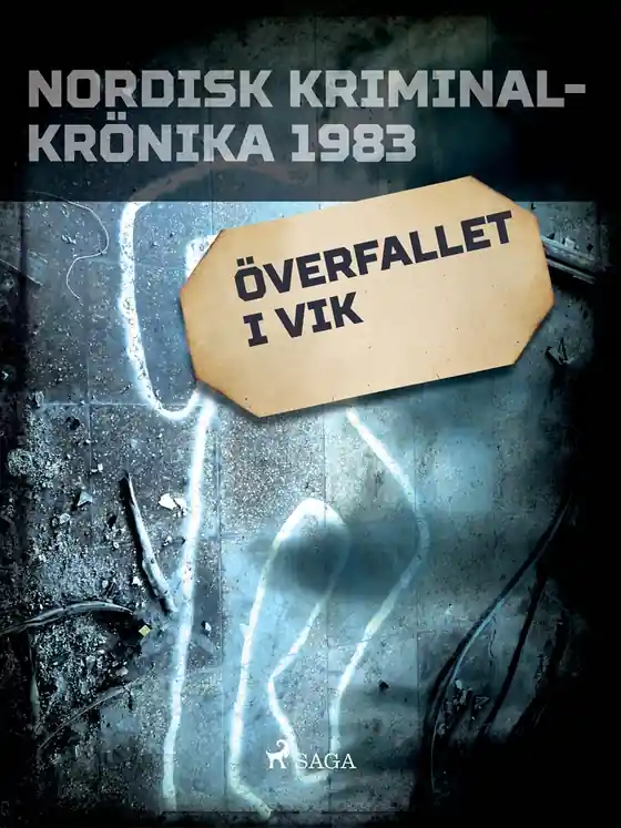 Överfallet i Vik (e-bok) av Diverse