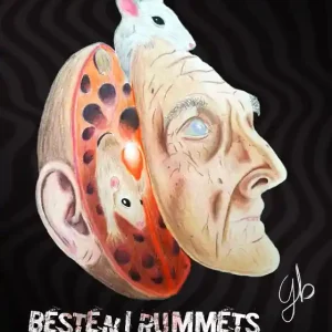Besten i rummets skugga (e-bok) av Gustav Brodin