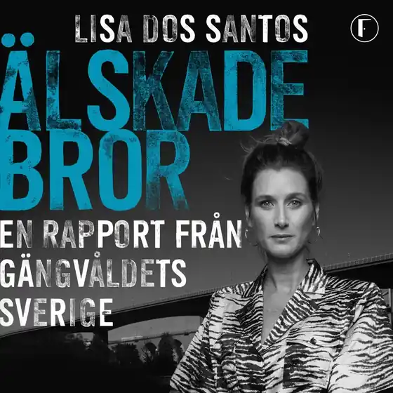Älskade bror : en rapport från gängvåldets Sverige (ljudbok) av Lisa dos Santos