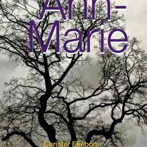 Ann-Marie (e-bok) av Christer Ekebom