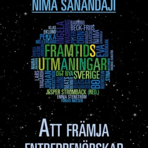 Att främja entreprenörskap (e-bok) av Mernosh Saatchi