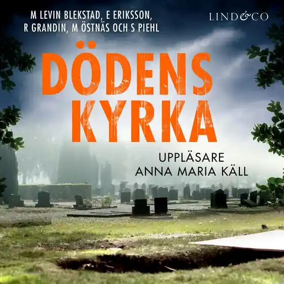 Dödens kyrka (ljudbok) av Erik Eriksson