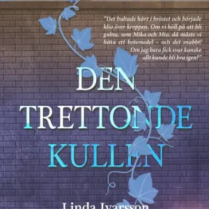 Den trettonde kullen (e-bok) av Linda Ivarsson