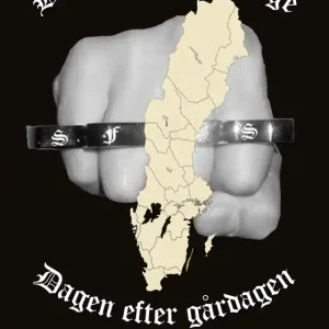 Brottsplats Sverige - Dagen efter gårdagen (e-bok) av Henrik Rådhammar