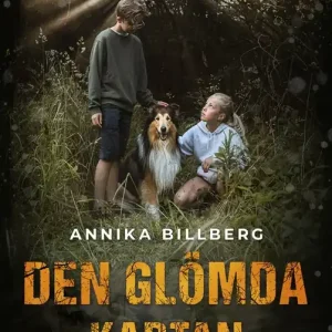 Den glömda kartan (e-bok) av Annika Billberg