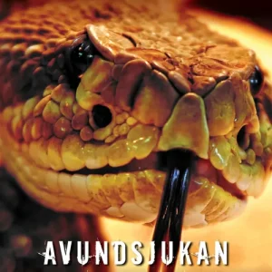 Avundsjukan kan bli din värsta fiende (e-bok) av Ewa Meldrum