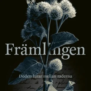 Främlingen (e-bok) av Elly Griffiths