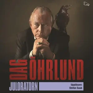 Juloratorn (ljudbok) av Dag Öhrlund