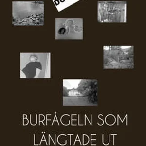 Burfågeln som längtade ut - Dokument (e-bok) av Ulf Diktonius