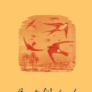 Våren (e-bok) av Bengt Söderbergh - Begagnad bok