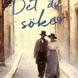 Det du söker (e-bok) av Anna Nord