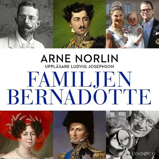Familjen Bernadotte: Del 3 (ljudbok) av Arne Norlin