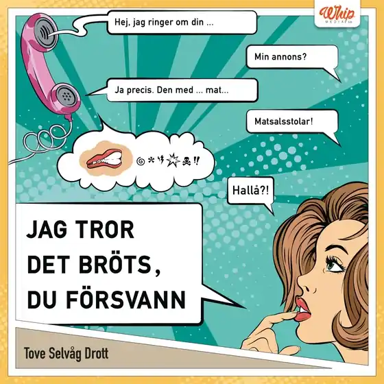 Jag tror det bröts, du försvann (ljudbok) av Tove Selvåg Drott
