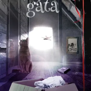 Kattvindens gåta (e-bok) av Linda Hjerth Axelsson