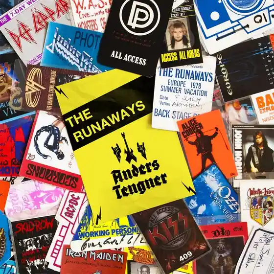 Access all areas - THE RUNAWAYS (ljudbok) av Anders Tengner