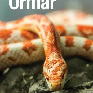Ormar (e-bok) av Janne Hyldgaard