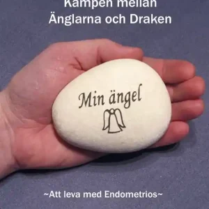 Kampen mellan Änglarna & Draken ~Att leva med Endometrios ~ (e-bok) av Ann-Sofi Björklund