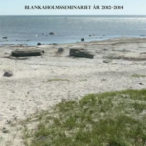 Forntid längs ostkusten IV (e-bok) av -