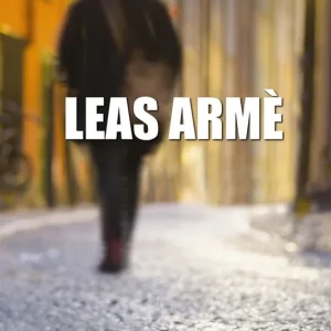 Leas armé, del 2 (e-bok) av Staffan Öberg - Begagnad bok
