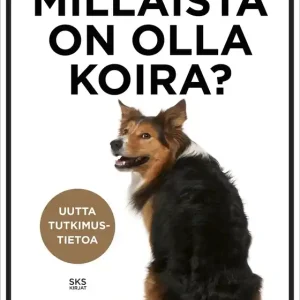 Millaista on olla koira? (e-bok) av Helena Telkänranta
