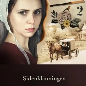 Sidenklänningen (e-bok) av Monika N. Yndestad