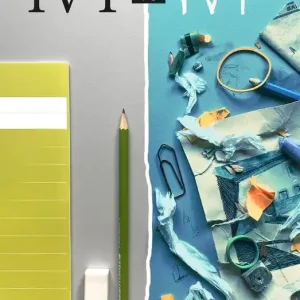 Ivy vs Ivy (e-bok) av Johan Persson