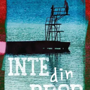 Inte din bror (e-bok) av Malin Stehn