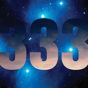 333 (e-bok) av Lars Stenvall