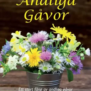 risnedsättning Andliga gåvor (e-bok) av Sven Reichmann