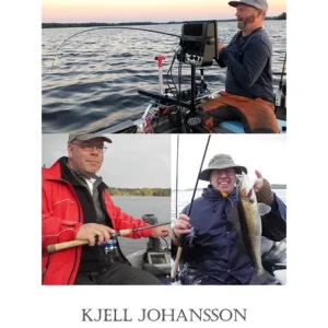 Vertikalfiske (e-bok) av Kjell Johansson