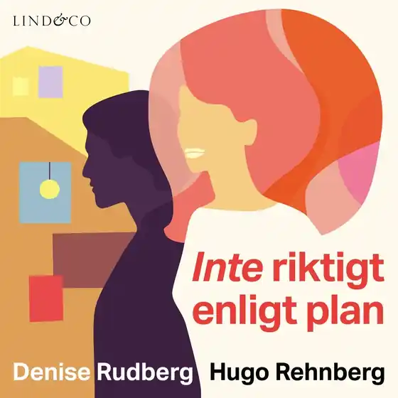 Inte riktigt enligt plan (ljudbok) av Denise Rudberg