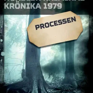 Processen (e-bok) av Diverse