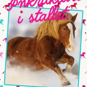 Inkräktare i stallet (e-bok) av Malin Stehn