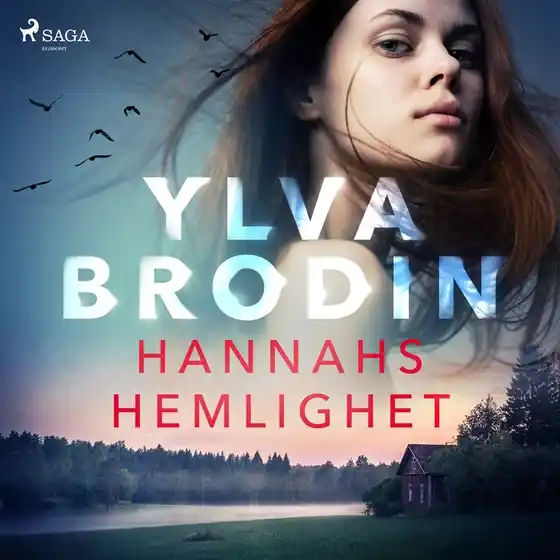 risnedsättning Hannahs hemlighet (ljudbok) av Ylva Brodin