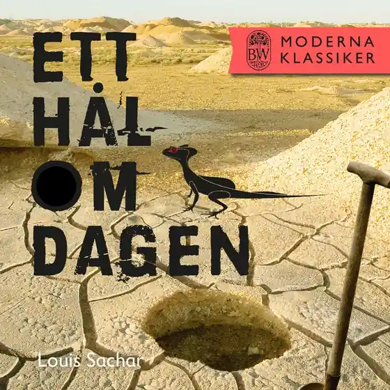 Ett hål om dagen (e-bok) av Louis Sachar