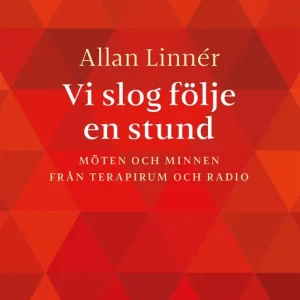 Vi slog följe en stund : Möten och minnen från terapirum och radio (ljudbok) av Allan Linnér