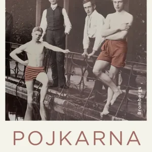 Pojkarna i klostret : en släkthemlighet (e-bok) av Sofia Nyblom