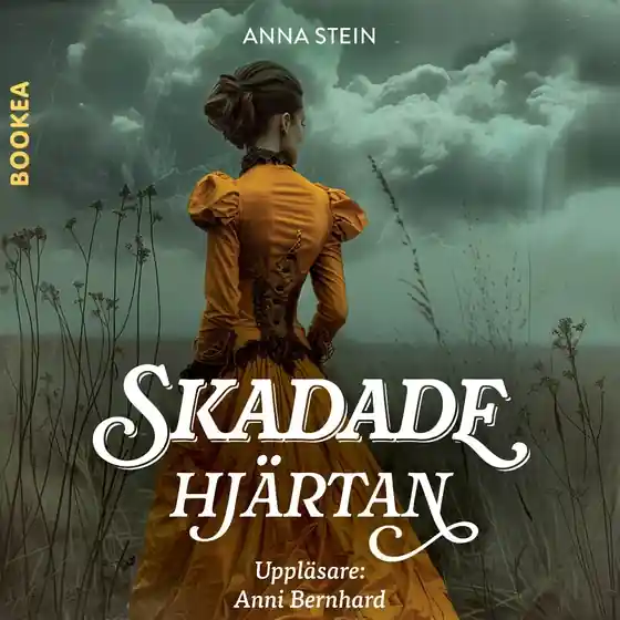 Skadade hjärtan (ljudbok) av Anna Stein - Begagnad bok