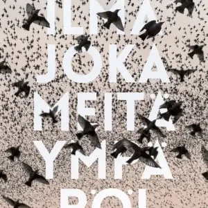 Ilma joka meitä ympäröi (e-bok) av Tom Malmquist