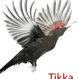 Tikka (e-bok) av Emmi Rautkorpi